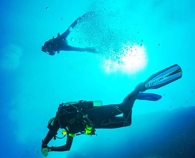 Snorkeling