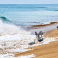 This Summer Season! Enjoy a Family-Friendly Trip At Shivrajpur Beach, Gujarat